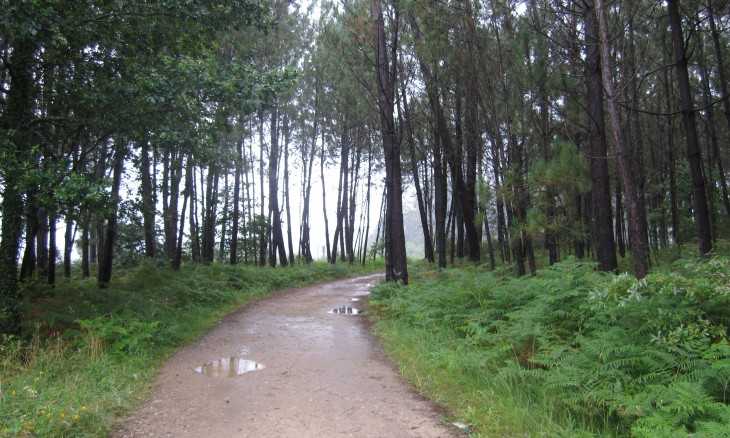 Camino Portugués a Santiago