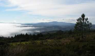 Monte Faro - RODEIRO