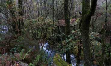 Ruta de las alimañanas y foso del lobo - PONTE CALDELAS