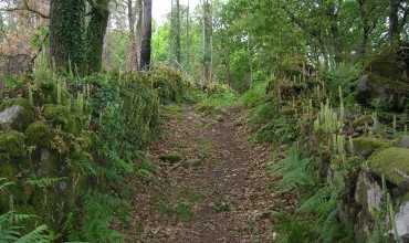 Sendero fluvial y Litoral - BAIONA