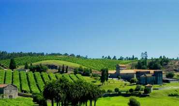 Bodega Condes de Albarei