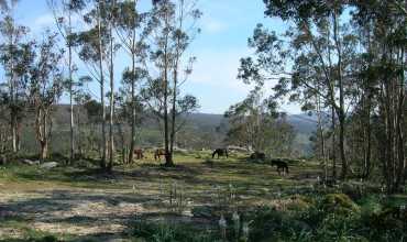 Monte de A Groba  - BAIONA